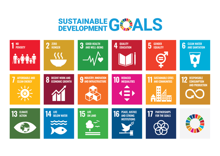 UN Sustainability Goals